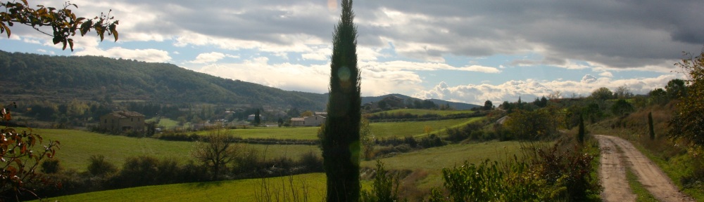 Olive Farm France Ardeche lagorce sunshine